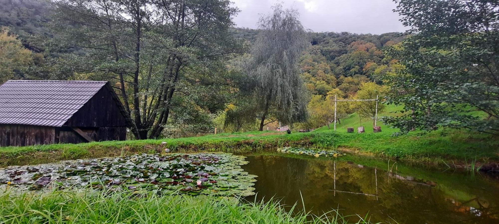 Pensiunea Lupul Dacic Costeşti Dış mekan fotoğraf