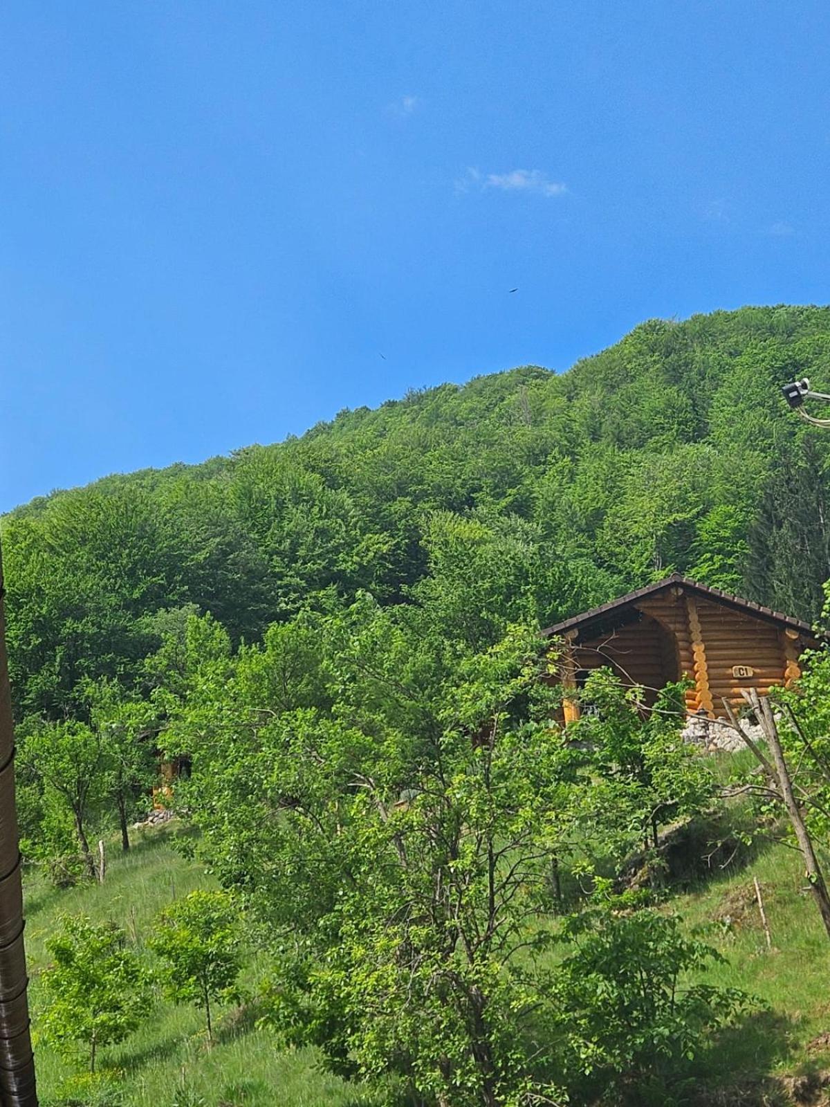 Pensiunea Lupul Dacic Costeşti Dış mekan fotoğraf