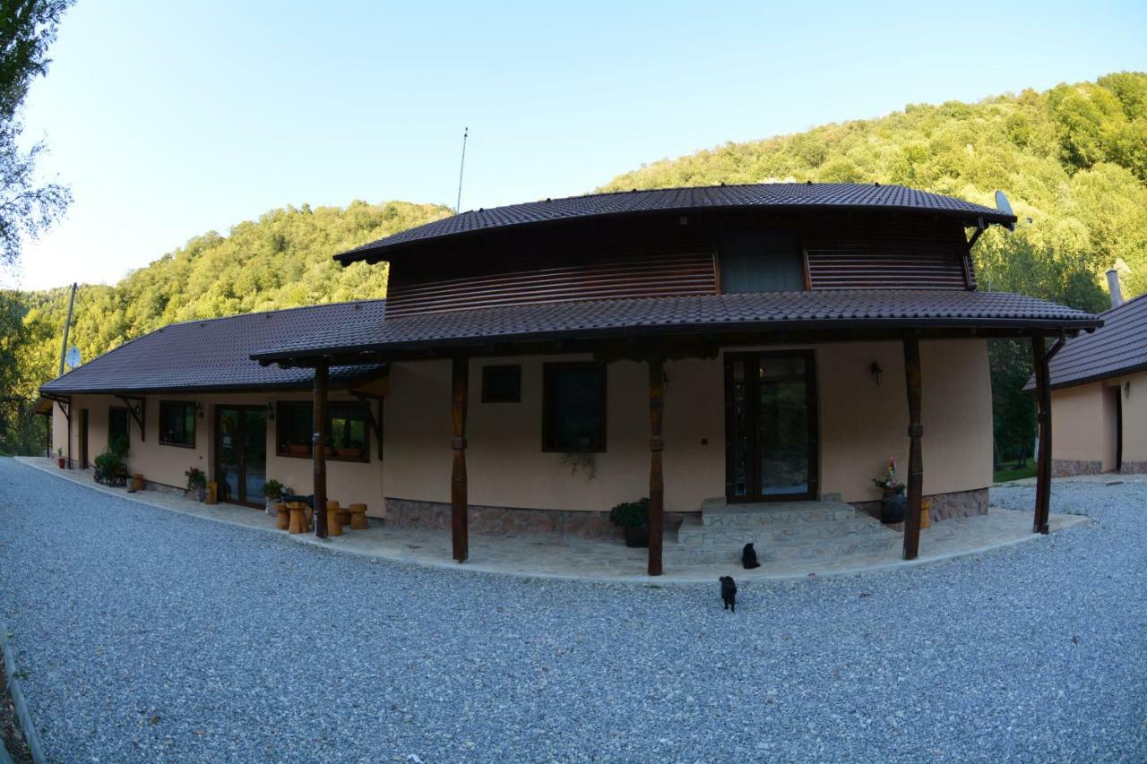 Pensiunea Lupul Dacic Costeşti Dış mekan fotoğraf