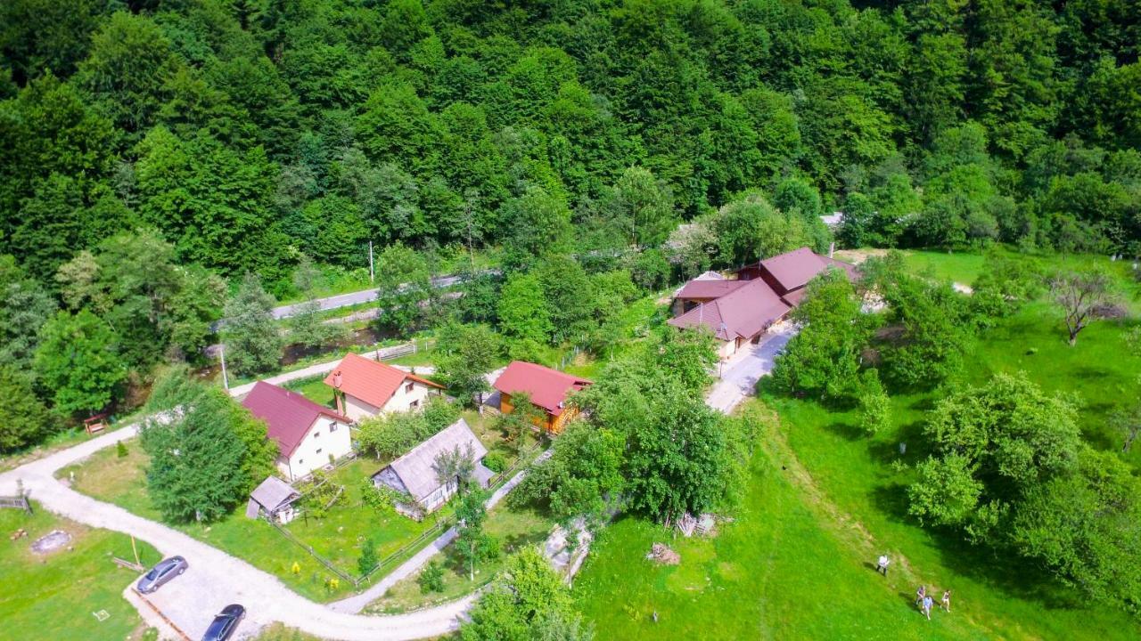 Pensiunea Lupul Dacic Costeşti Dış mekan fotoğraf