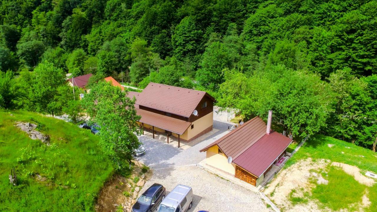 Pensiunea Lupul Dacic Costeşti Dış mekan fotoğraf