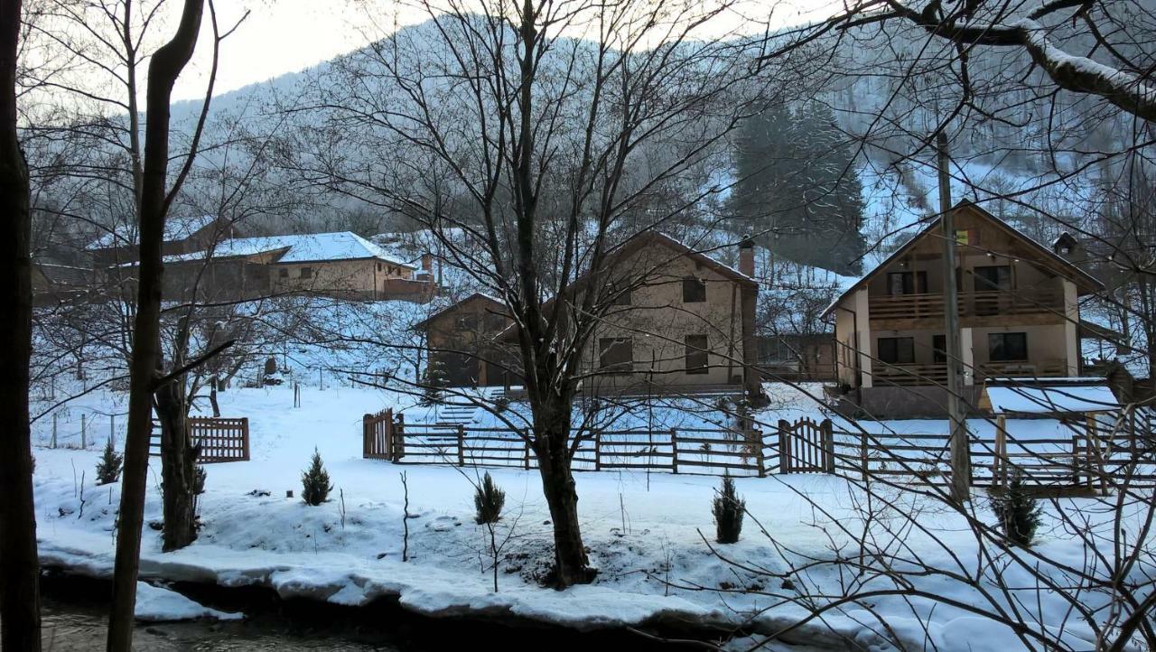 Pensiunea Lupul Dacic Costeşti Dış mekan fotoğraf